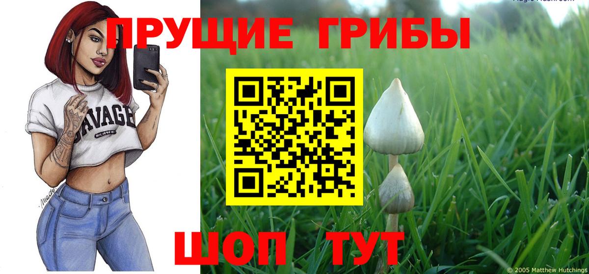 Псилоцибиновые грибы Psilocybine cubensis  Вход с VPN  Псилоцибиновые грибы Psilocybine cubensis  Мирный 